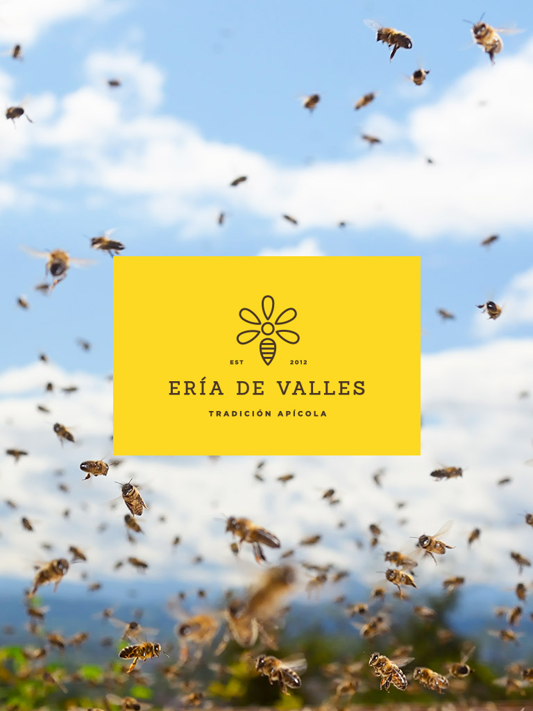 Tradición apícola Eria de Valles - Miel natural de Asturias